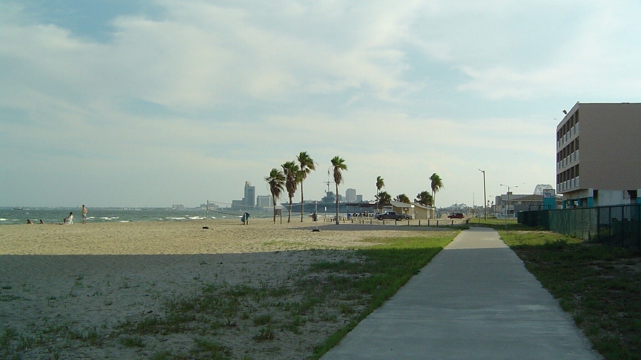 Photo of Others in North Beach