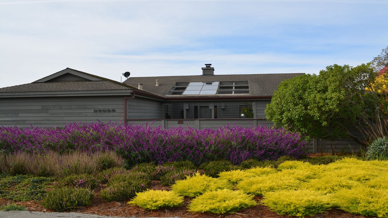 Photo of Others in Bodega Bay