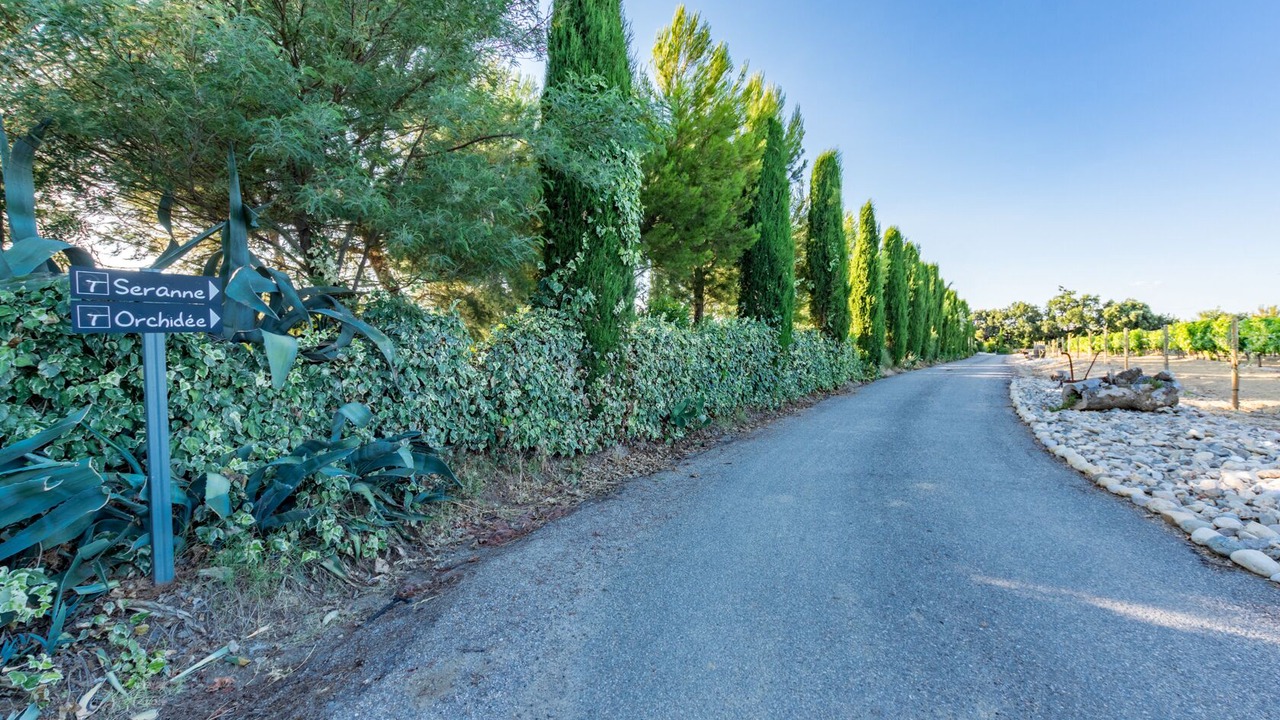 Photo of Outdoor in Plaissan