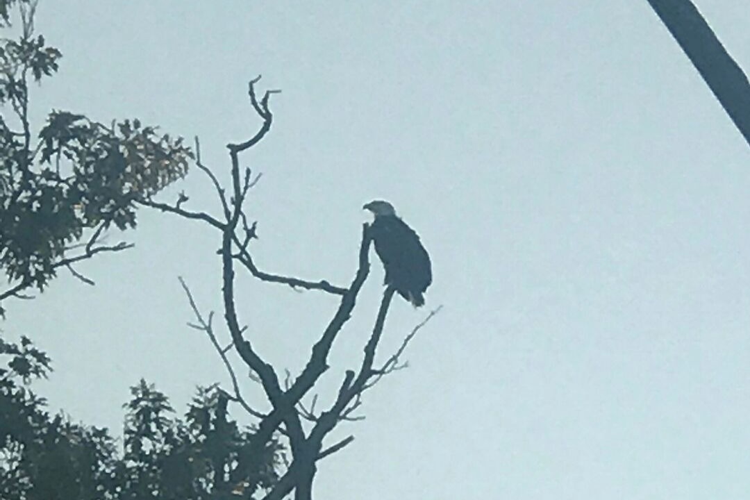 Photo of Others in Lakeview