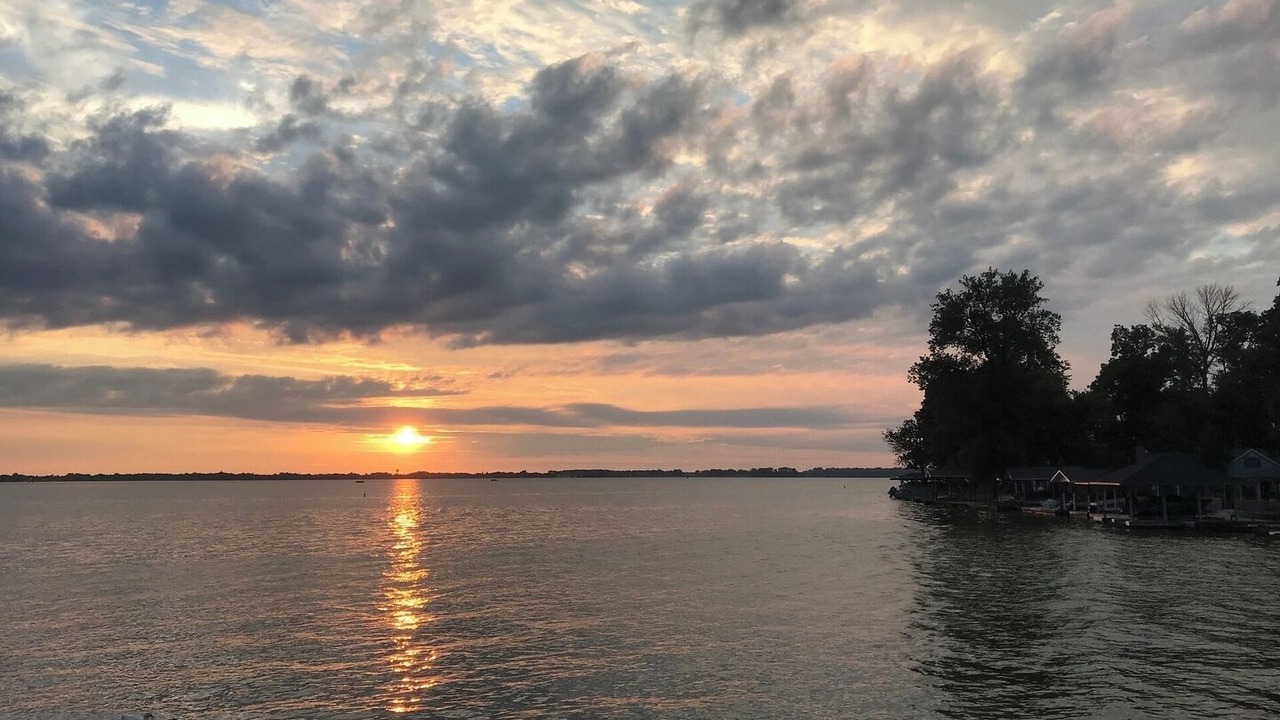 Photo of Others in Lakeview