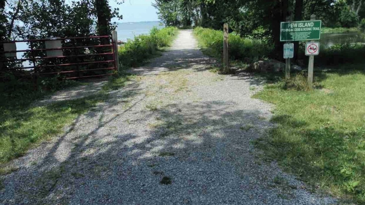 Photo of Others in Lakeview