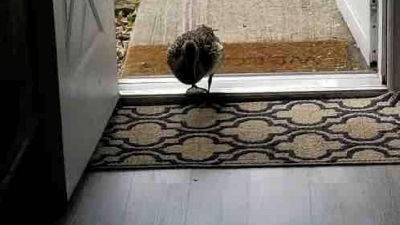 Photo of Others in Lakeview