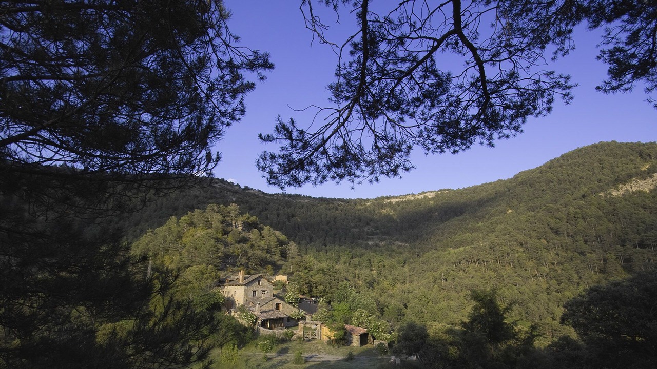 Photo of Others in Coll de Nargo