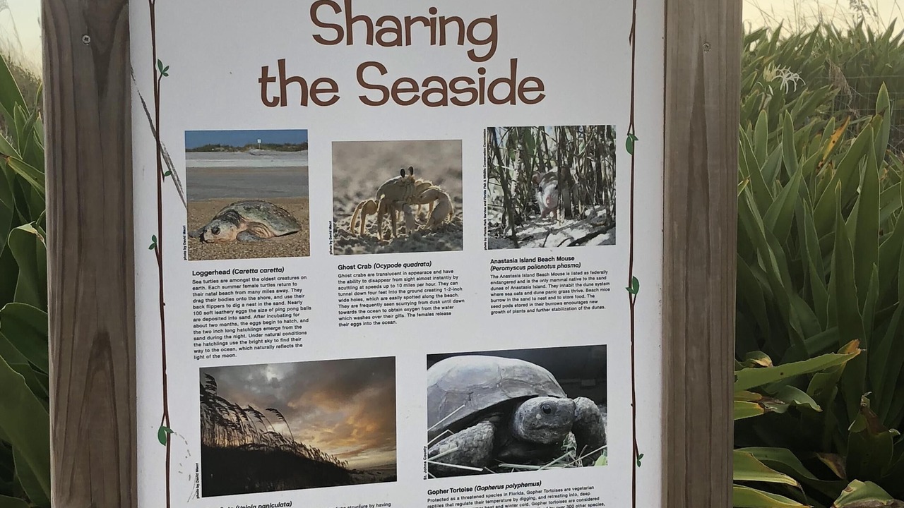 Photo of Others in Coquina Gables