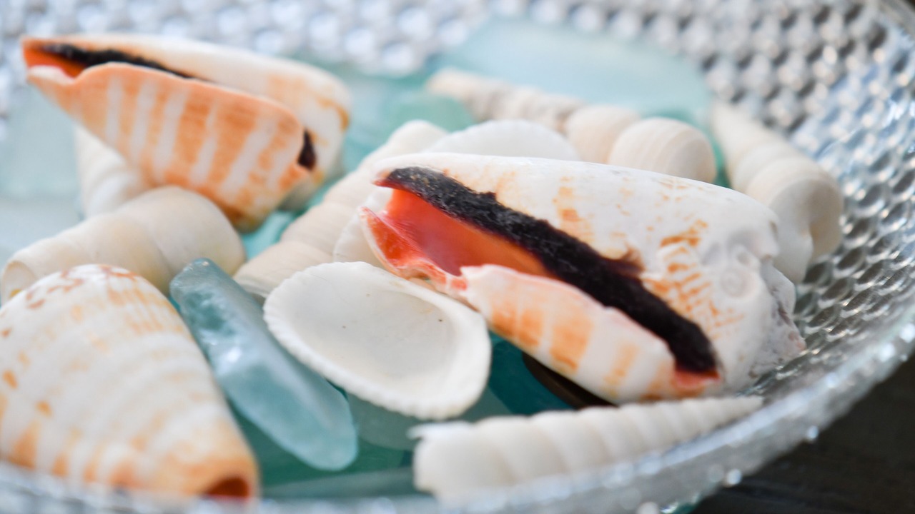 Photo of Others in Coquina Gables