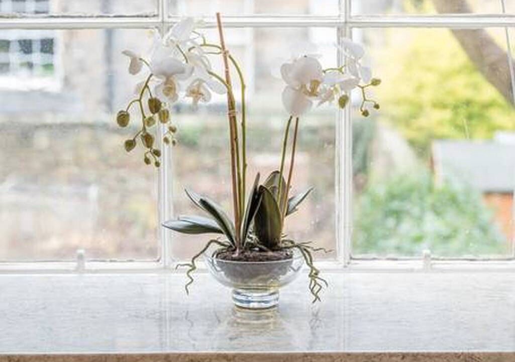 Photo of Others in Newington