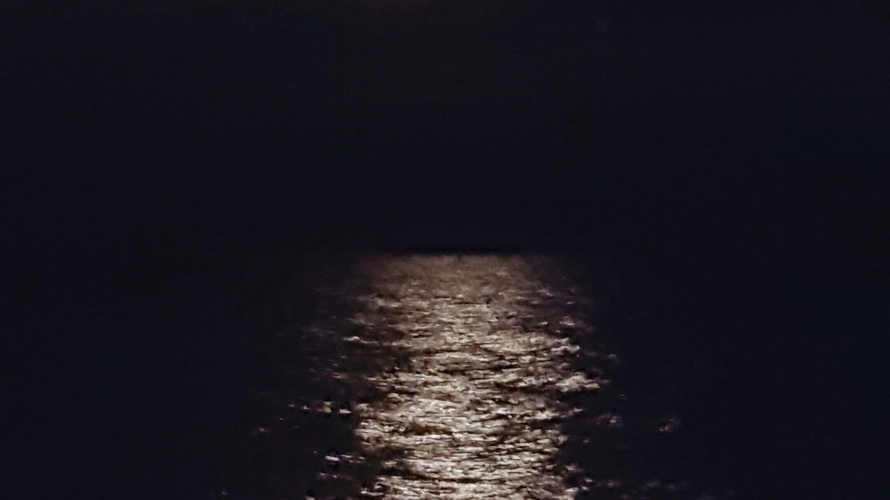 Photo of Others in Surfside Beach