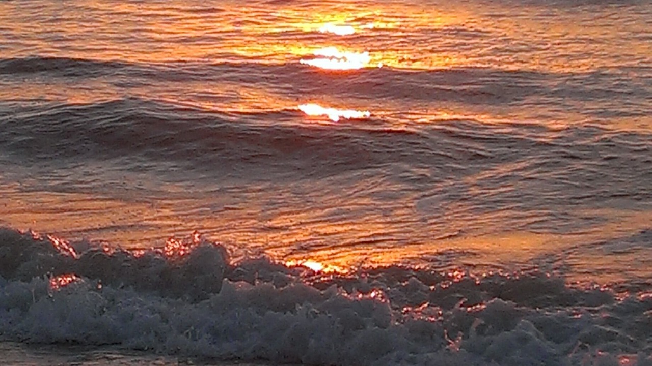 Photo of Others in Surfside Beach