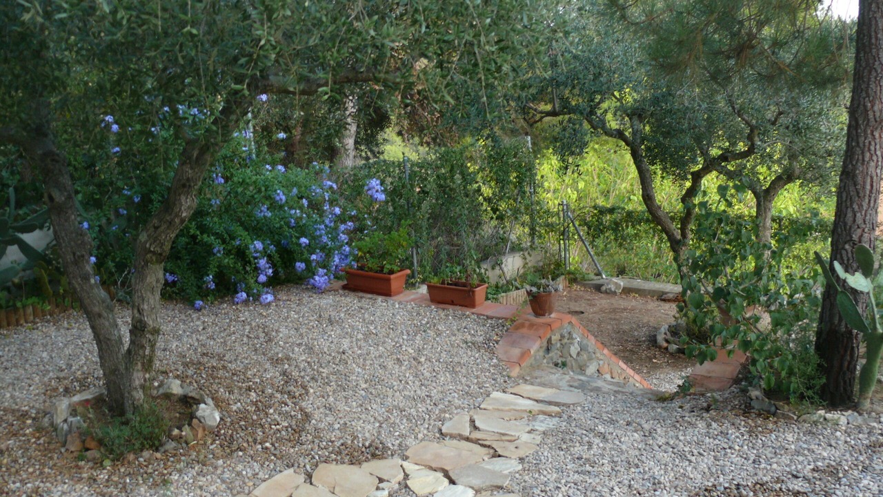 Photo of Outdoor in Riudecanyes