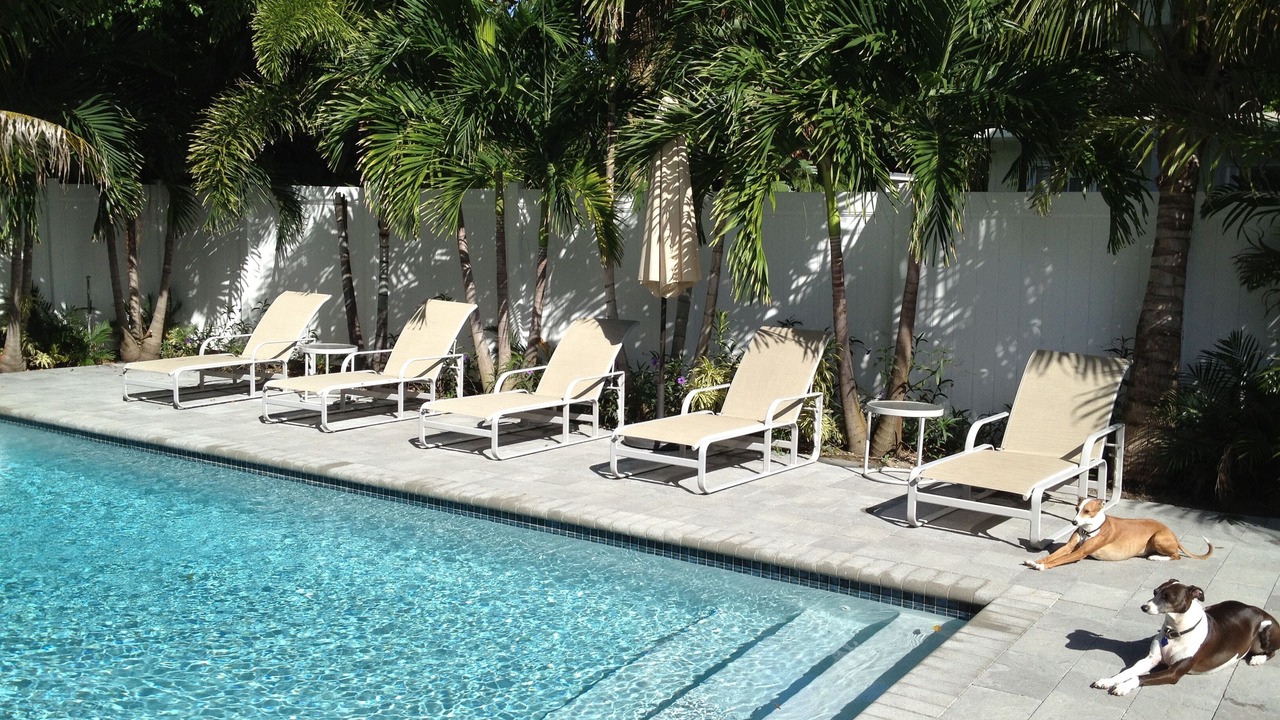 Photo of Outdoor in Lauderdale Beach