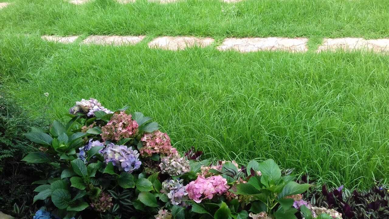 Photo of Outdoor in San Martin