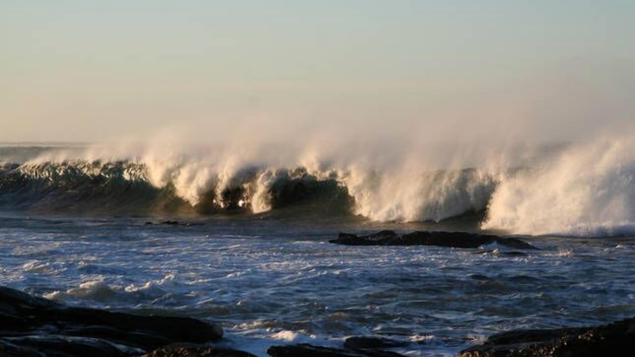 Photo of Others in Skenes Creek