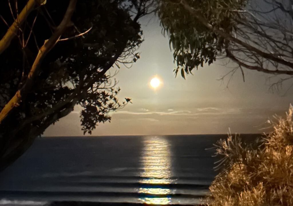 Photo of Others in Skenes Creek