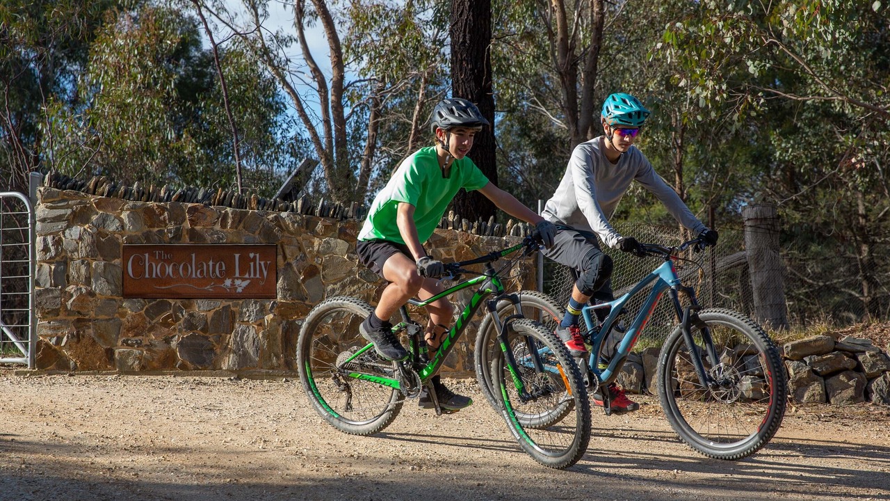 Photo of Others in Sedgwick