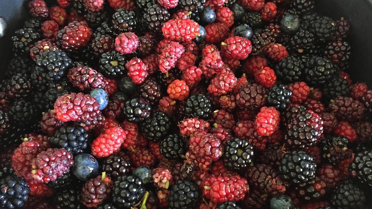 Photo of Others in Sedgwick