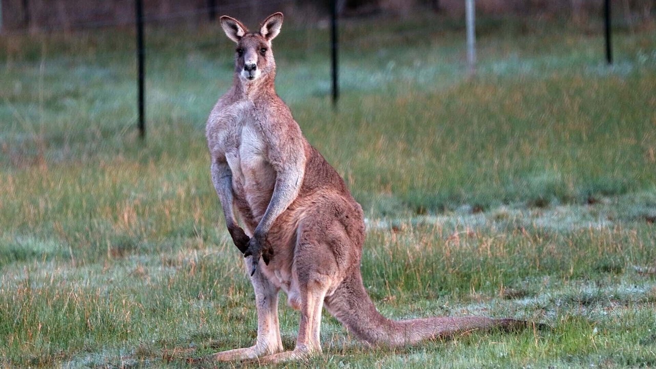 Photo of Outdoor in Sedgwick