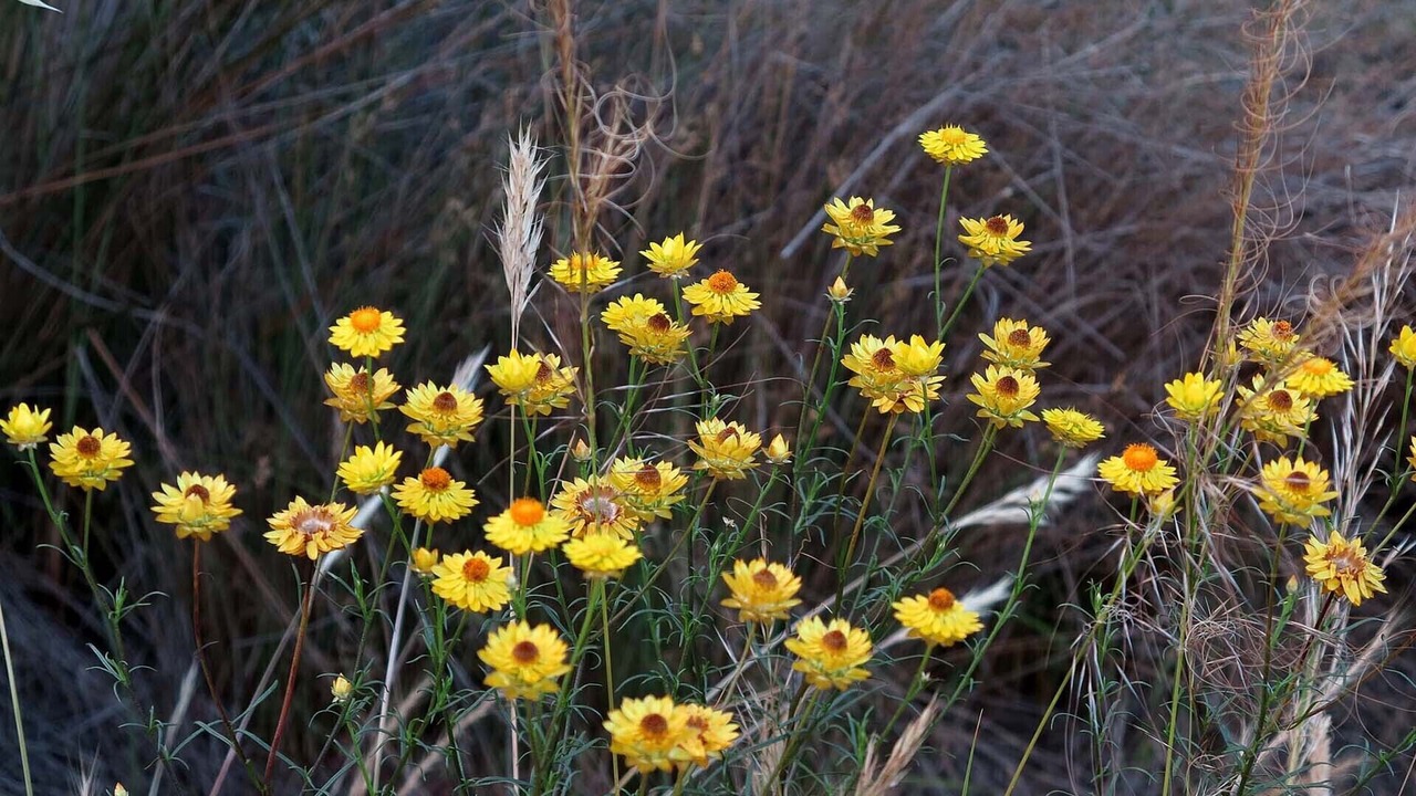 Photo of Others in Sedgwick