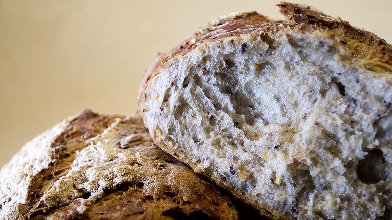 Photo of Others in Sedgwick