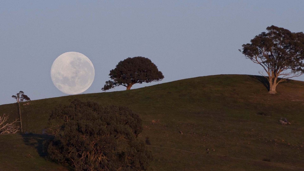 Photo of Others in Sedgwick