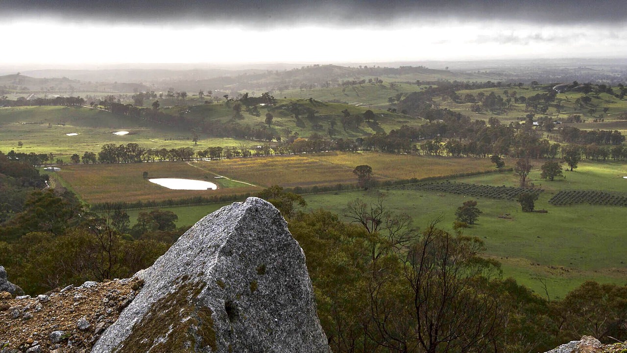 Photo of Others in Sedgwick