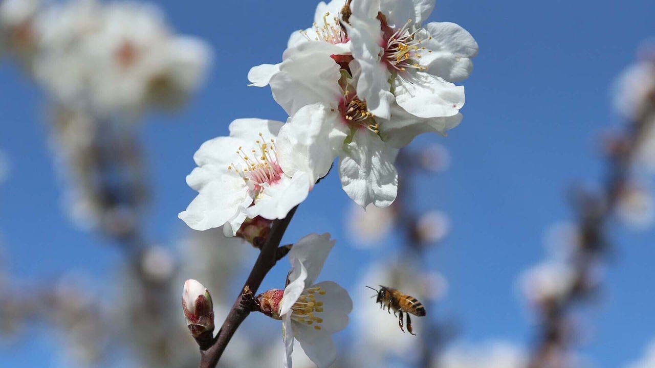 Photo of Others in Sedgwick