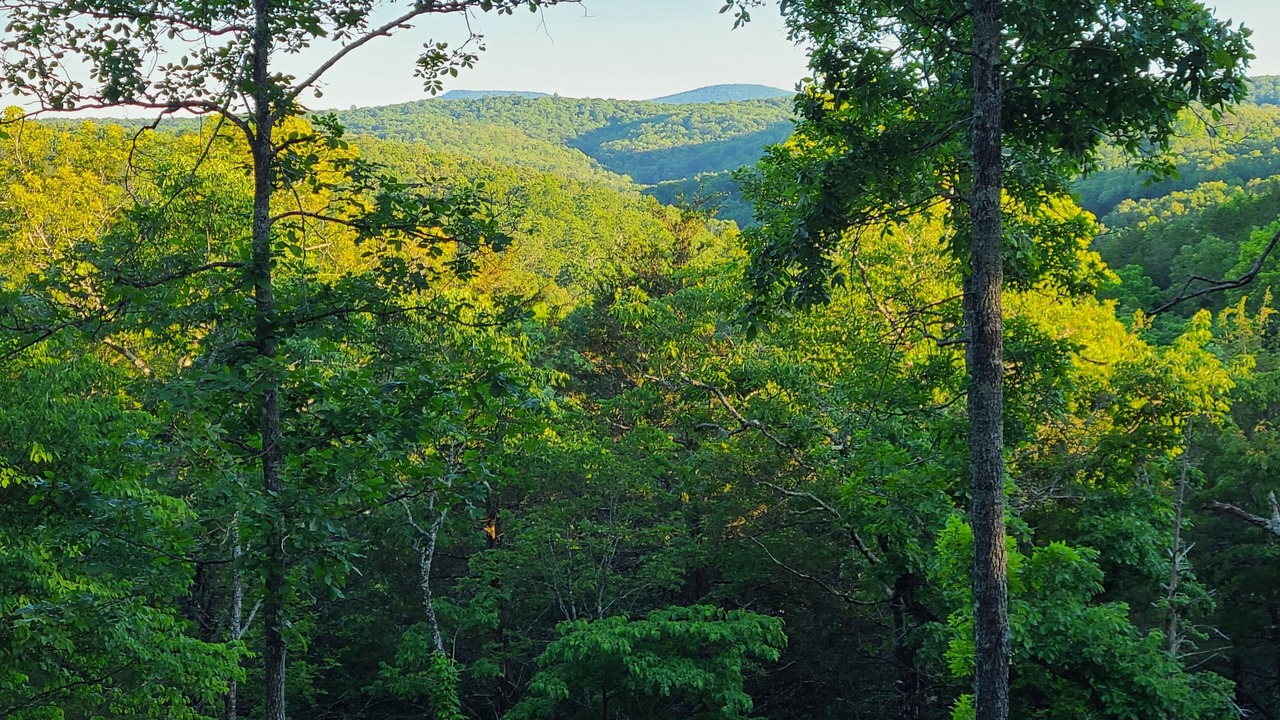 Photo of Outdoor in Saint Joe
