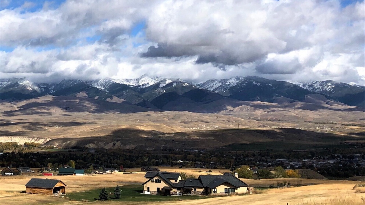 Photo of Others in Salmon