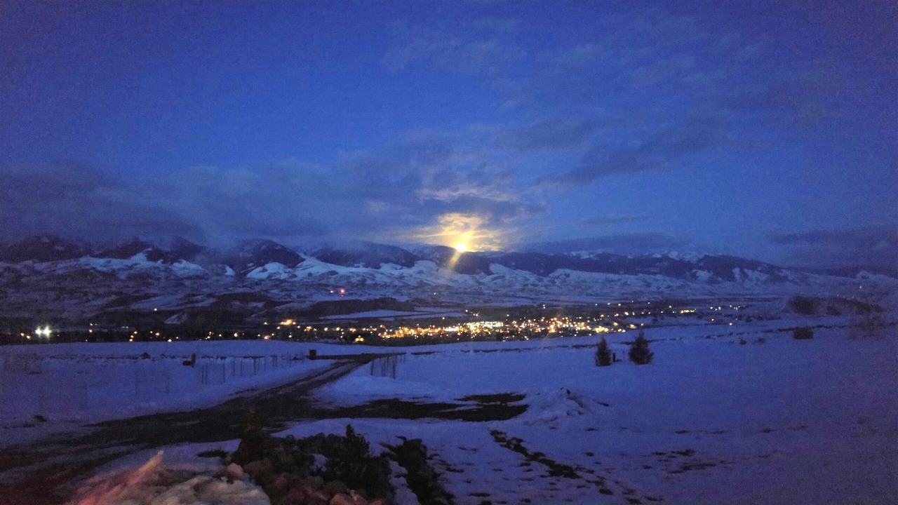 Photo of Others in Salmon