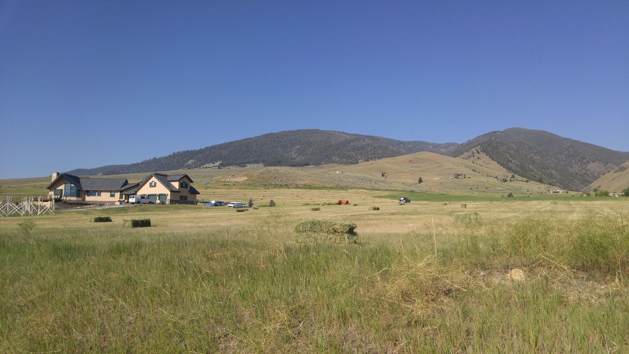 Photo of Others in Salmon