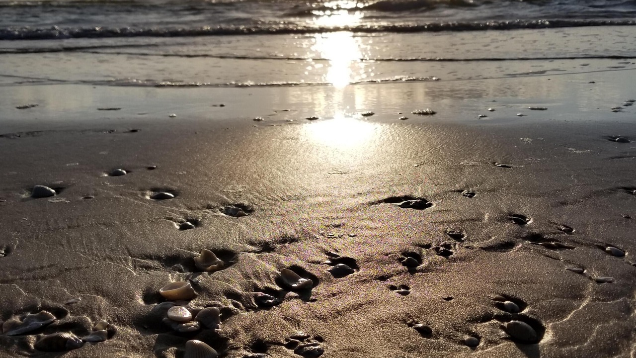 Photo of Others in South Padre Island