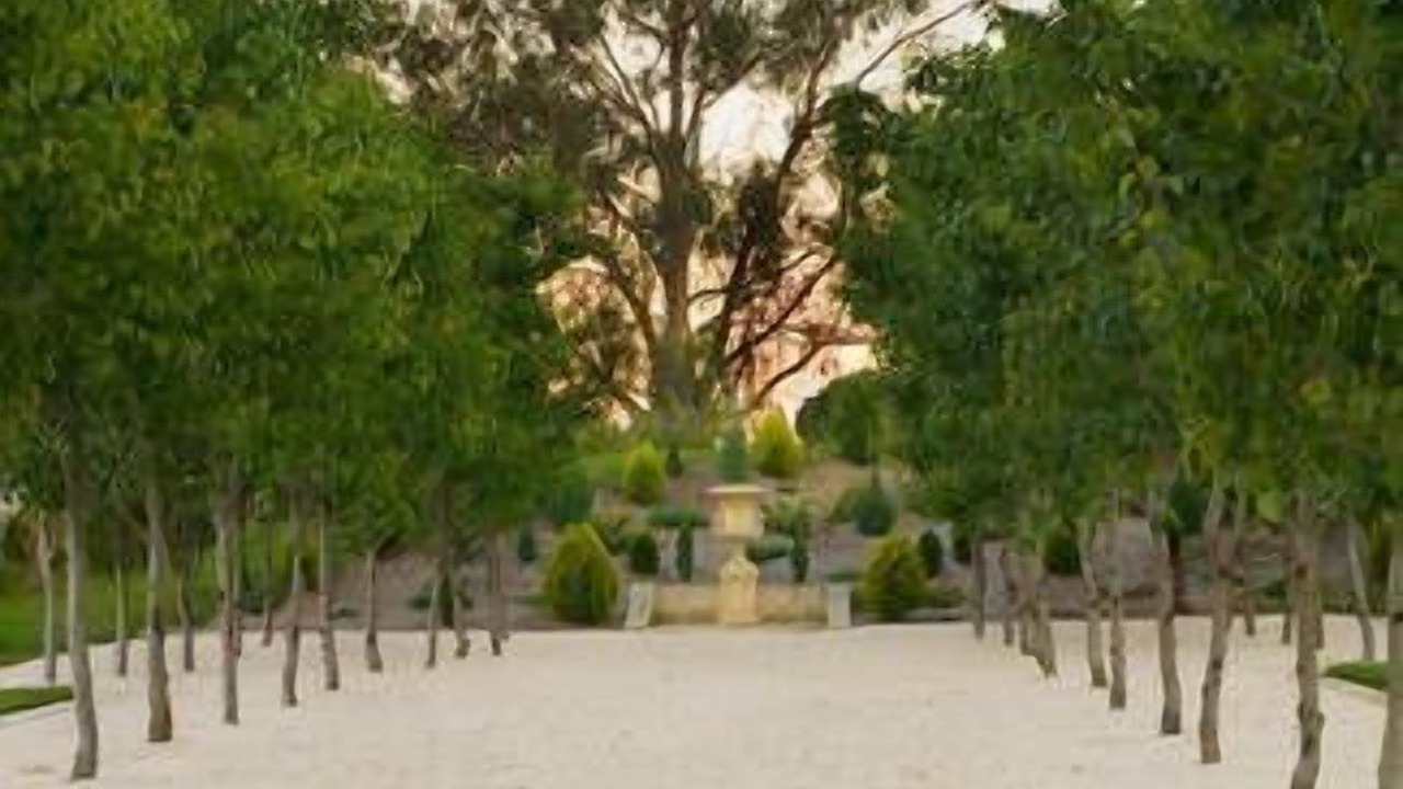 Photo of Outdoor in Yering