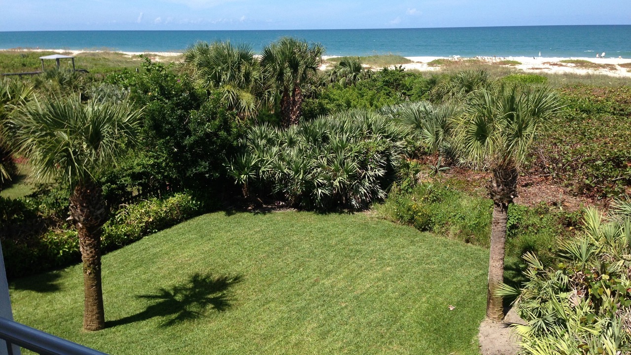 Photo of Others in Vero Beach