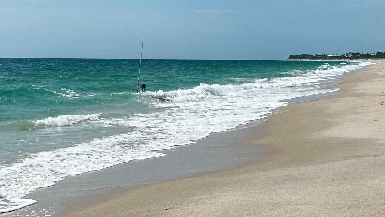 Photo of Others in Vero Beach