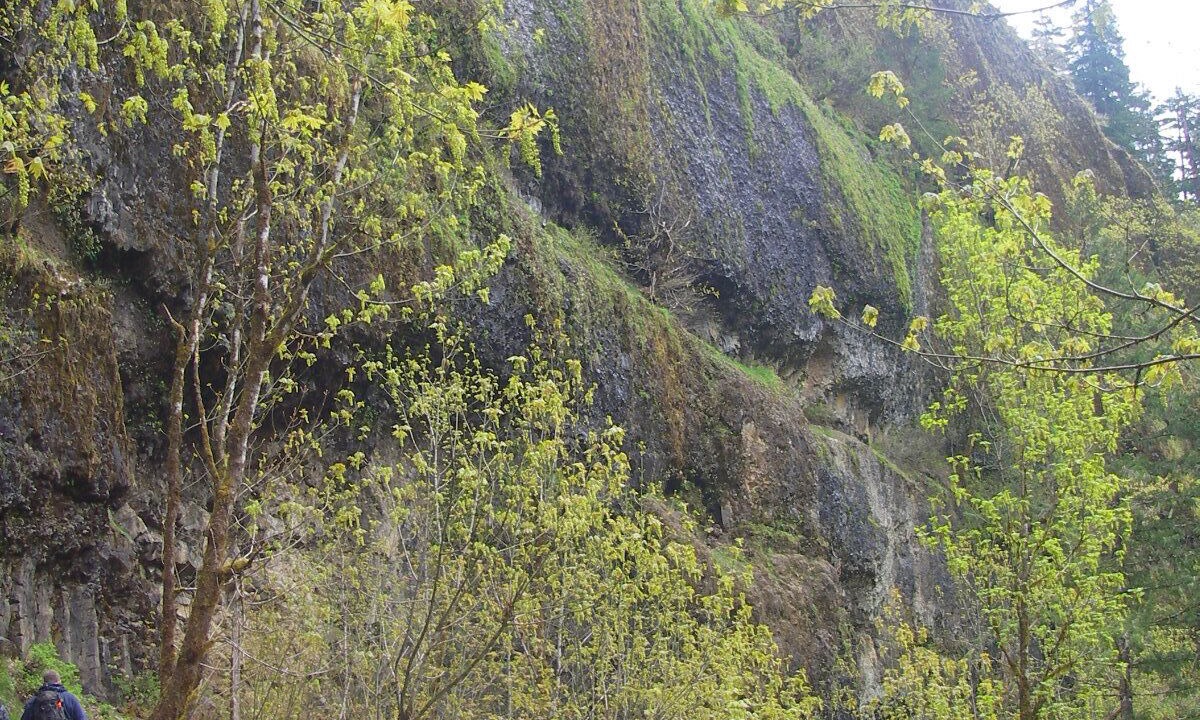 Photo of Outdoor in Troutdale