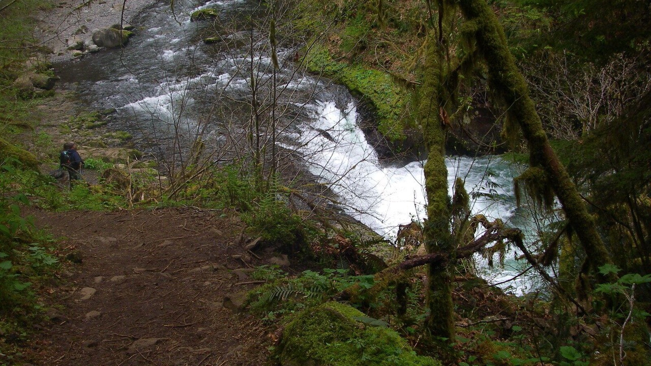 Photo of Outdoor in Troutdale
