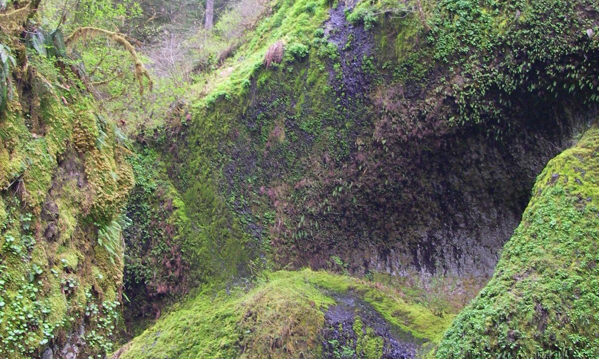 Photo of Outdoor in Troutdale