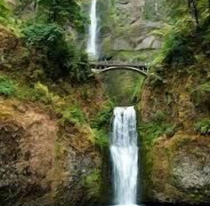 Photo of Others in Troutdale