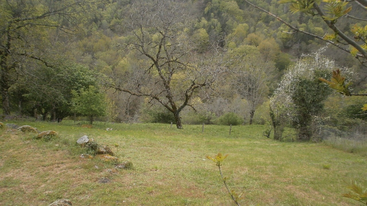 Photo of Outdoor in Golinhac