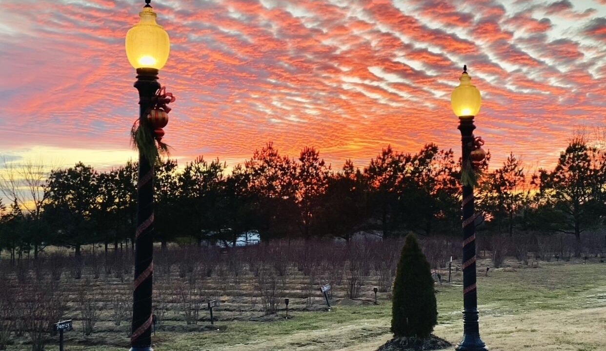 Photo of Outdoor in Garfield
