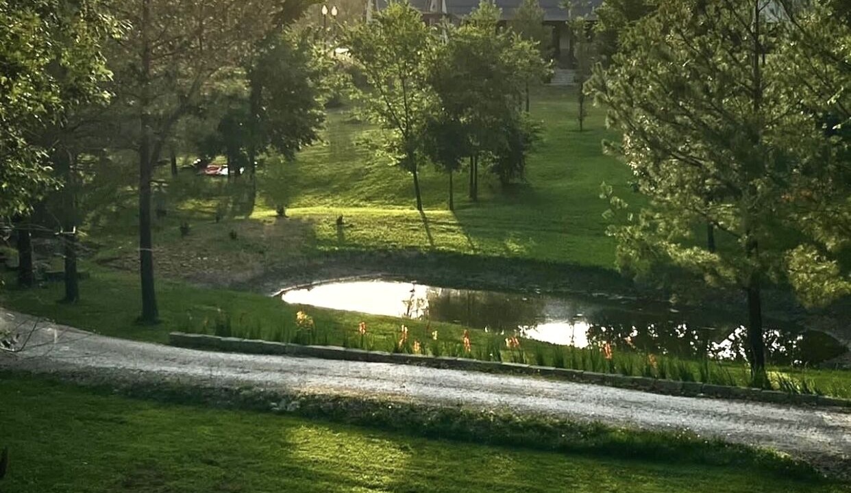 Photo of Outdoor in Garfield