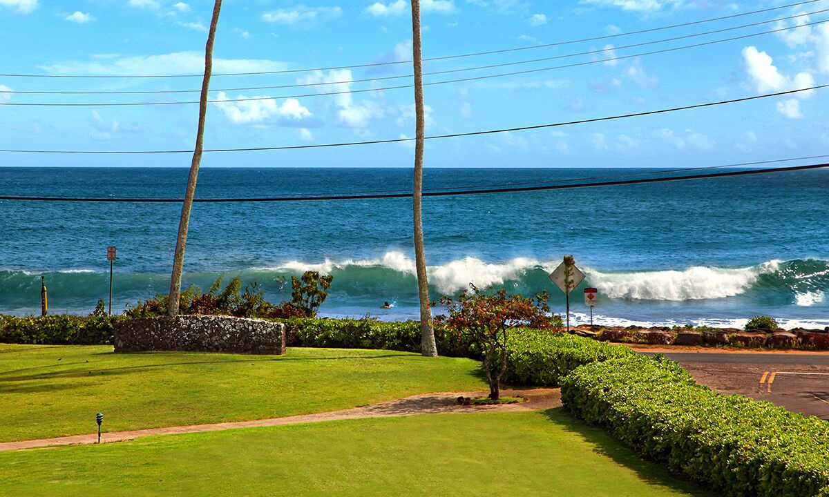 Photo of Others in Poipu