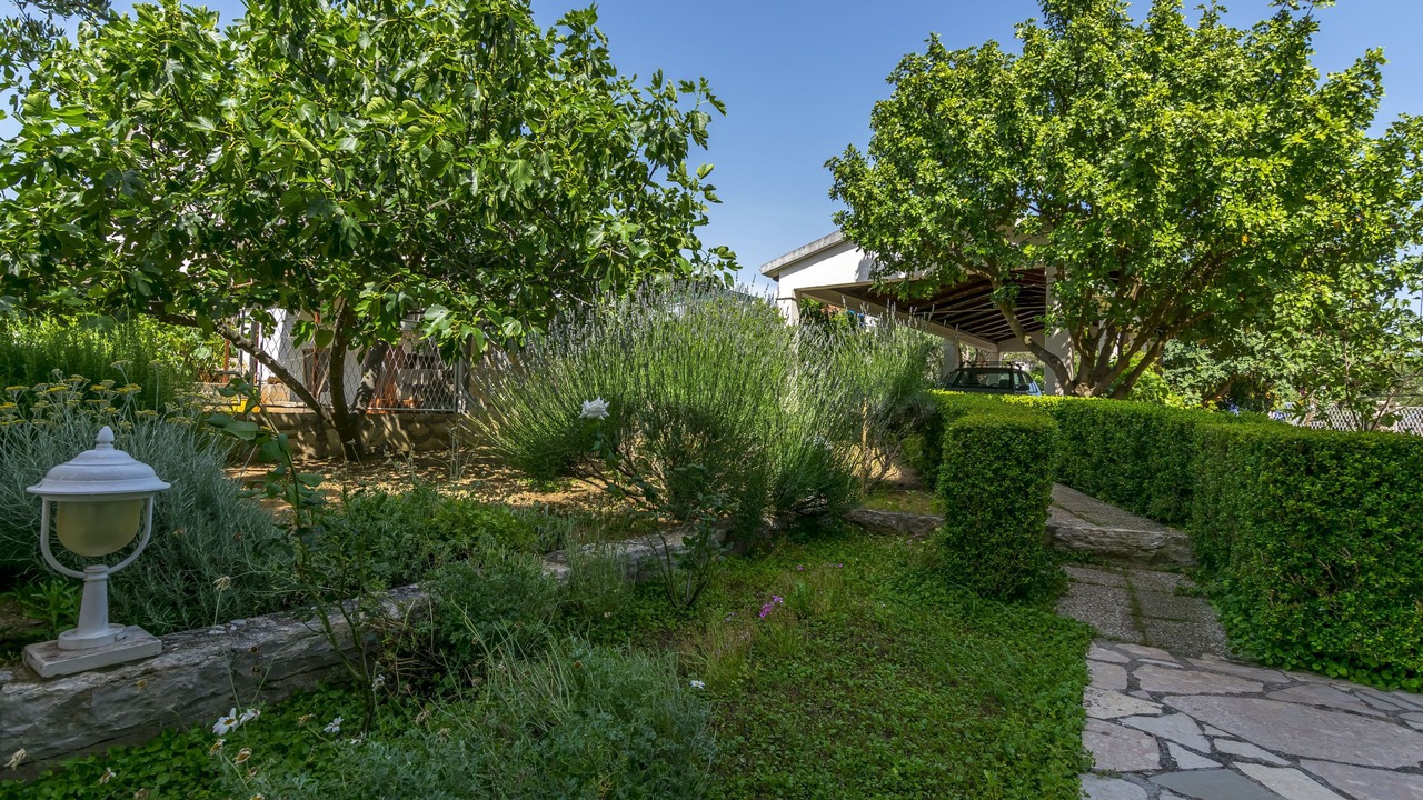 Photo of Outdoor in Podglavica