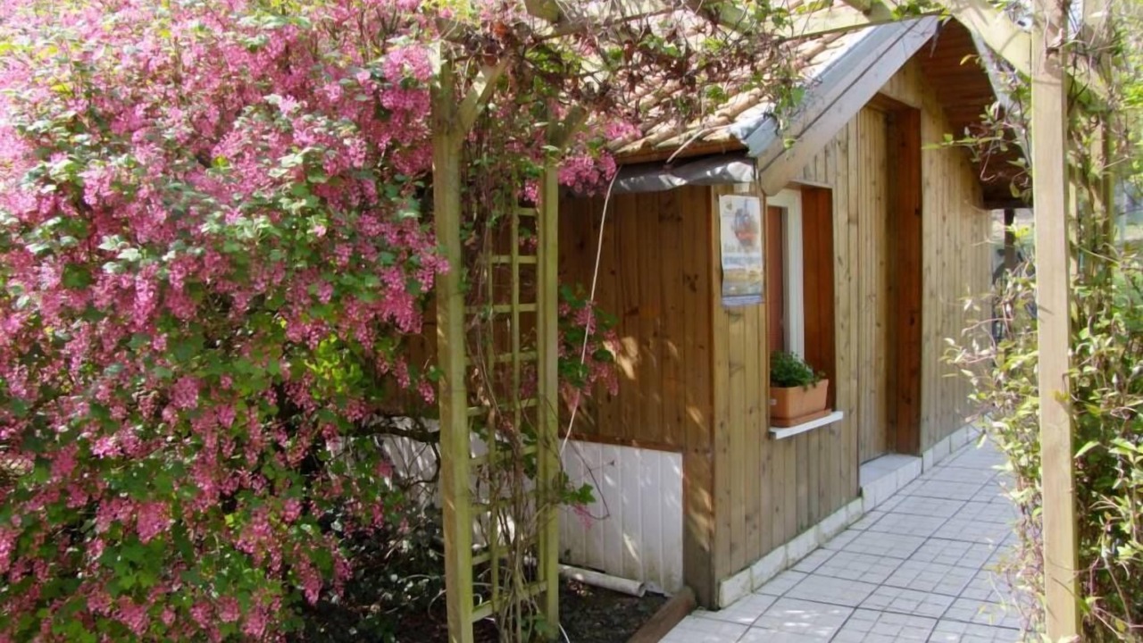 Photo of Outdoor in Cahon