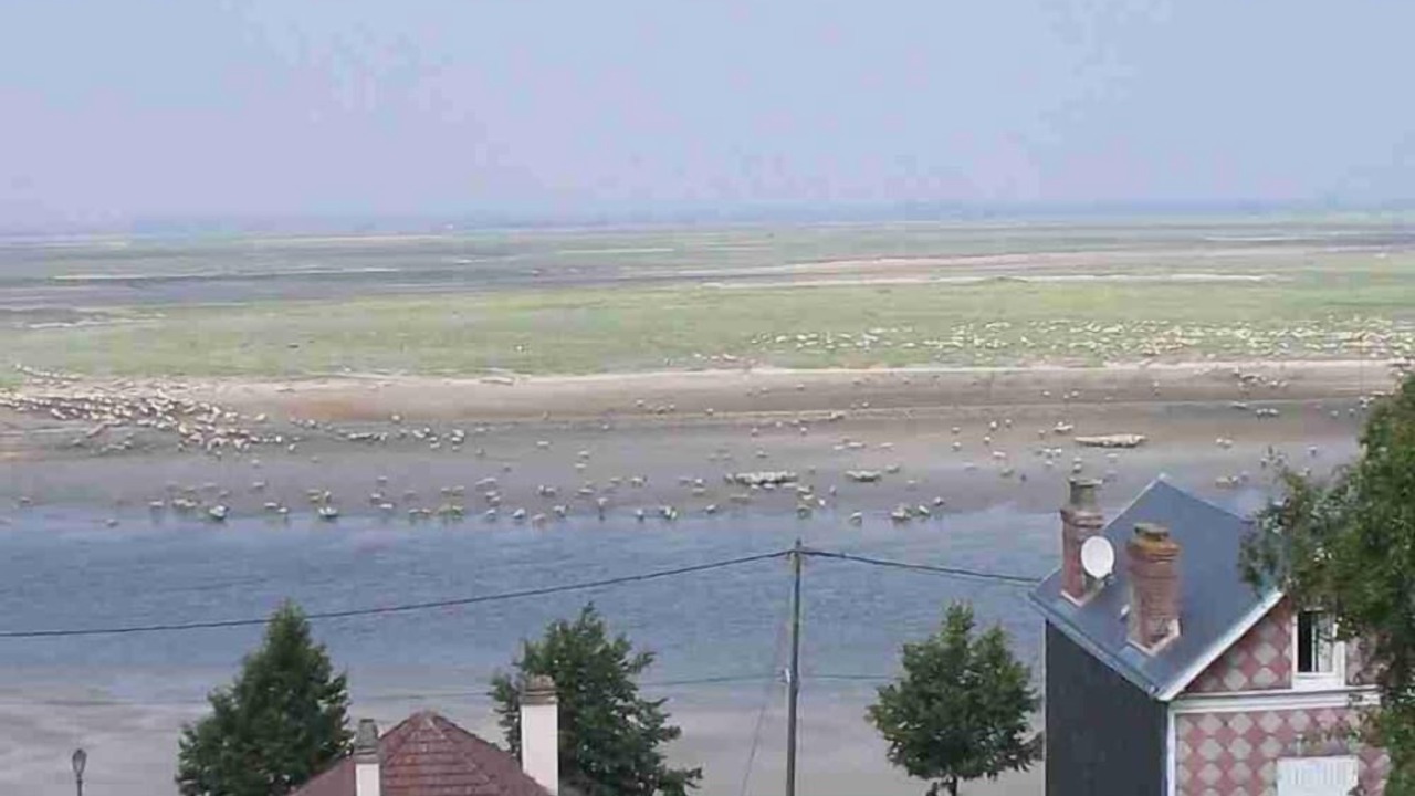 Photo of Others in Cahon