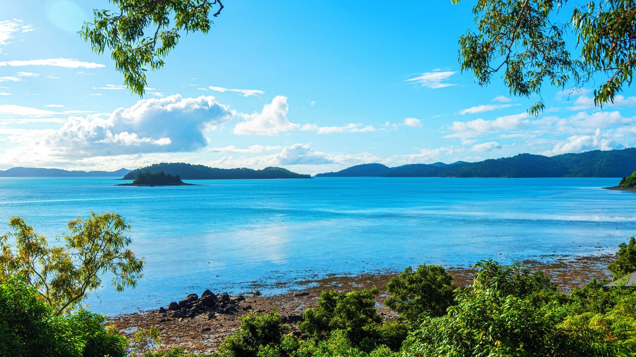 Photo of Others in Hamilton Island