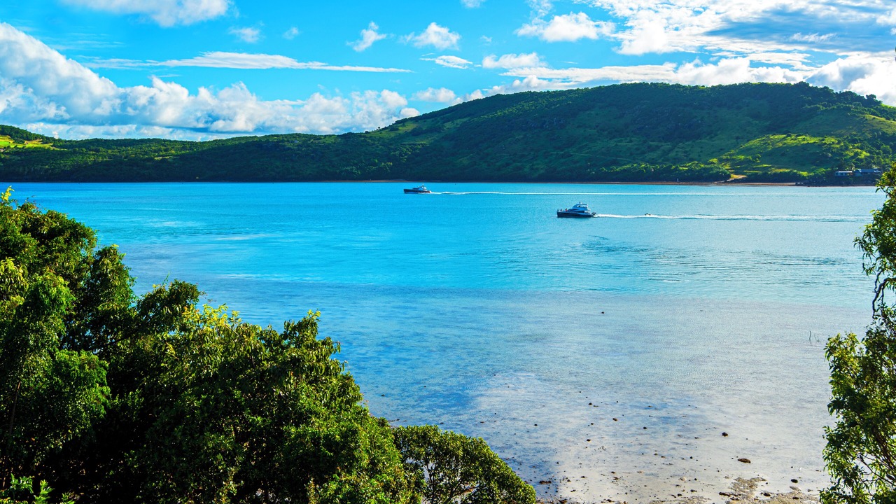 Photo of Others in Hamilton Island