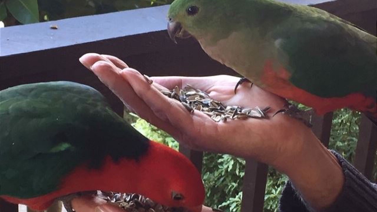 Photo of Others in Vincentia