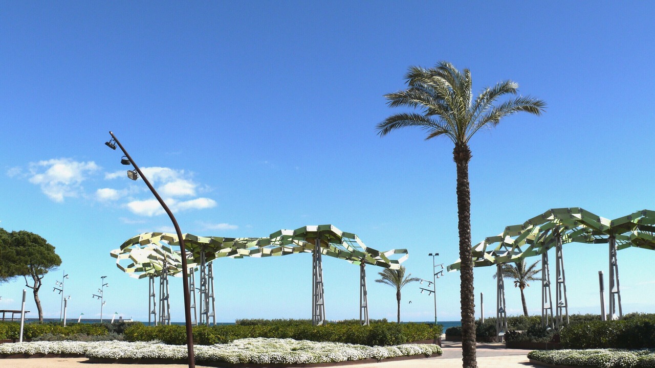 Photo of Others in La Pineda