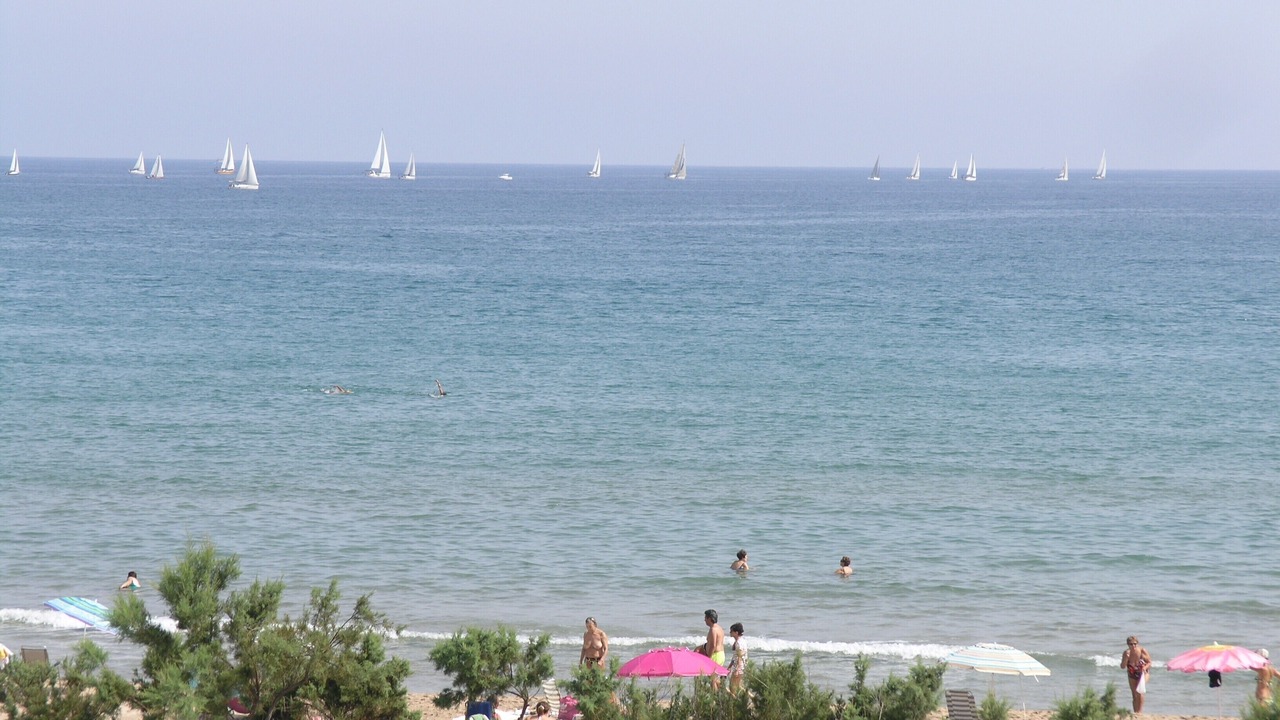 Photo of Others in Oliva
